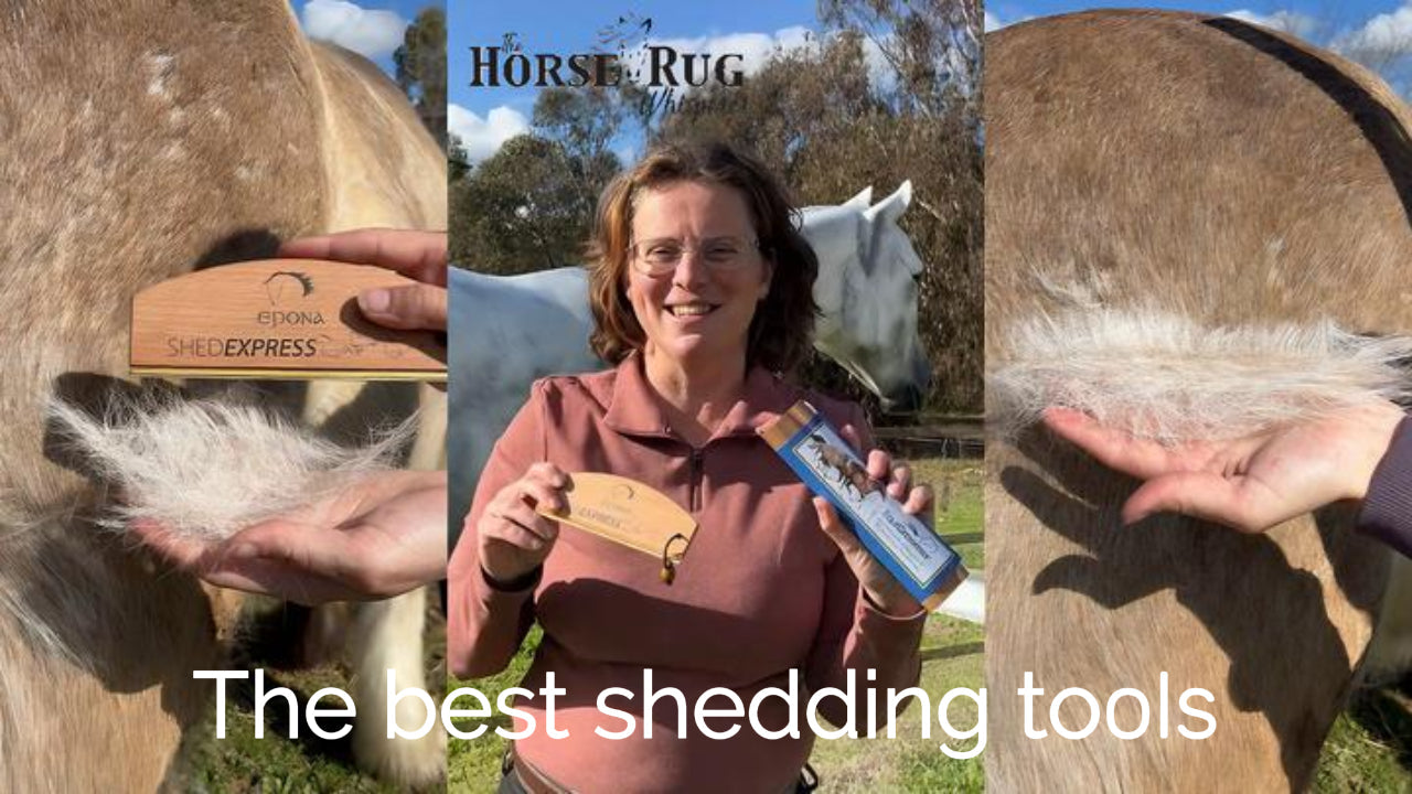 The best shedding tools for your horses in Spring