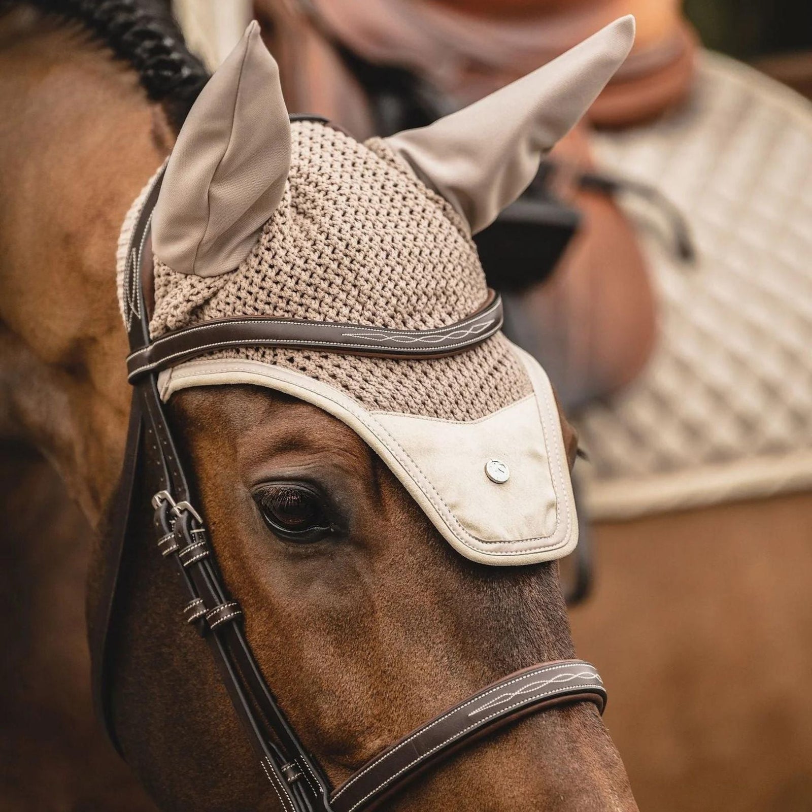Beige Bonnet on bay horse