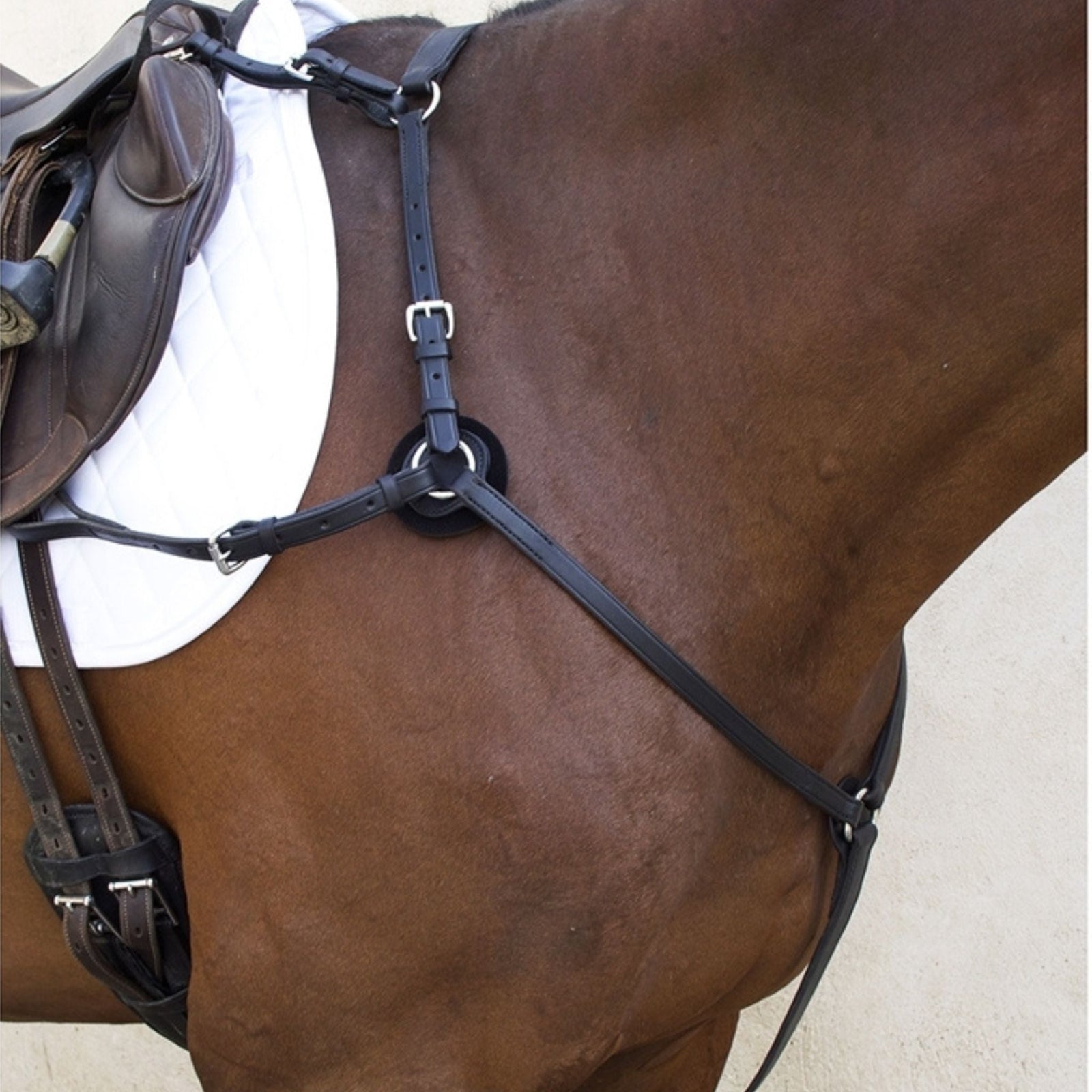 Black breastplate on bay horse