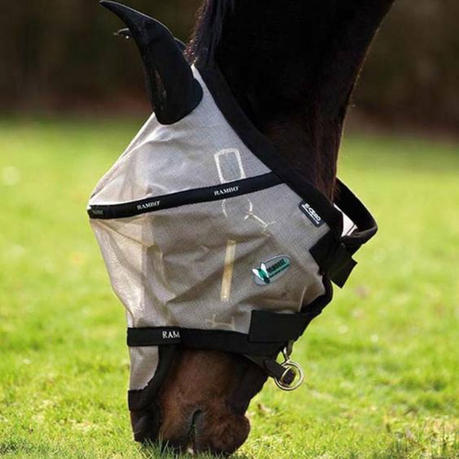 Dark bay horse wearing a rambo fly mask