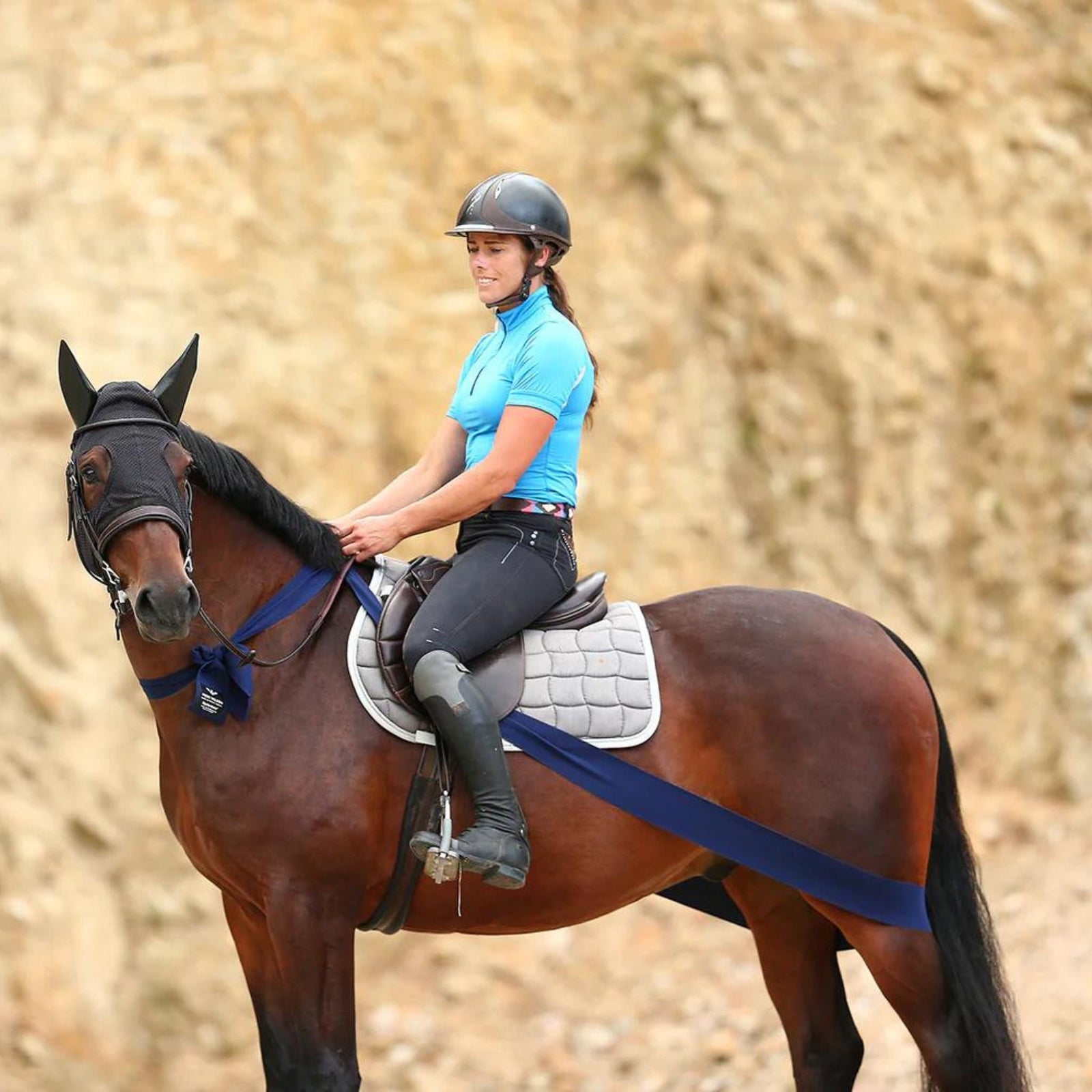 equisystem bandage on bay horse