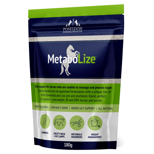 supplement for horses with insulin resistance