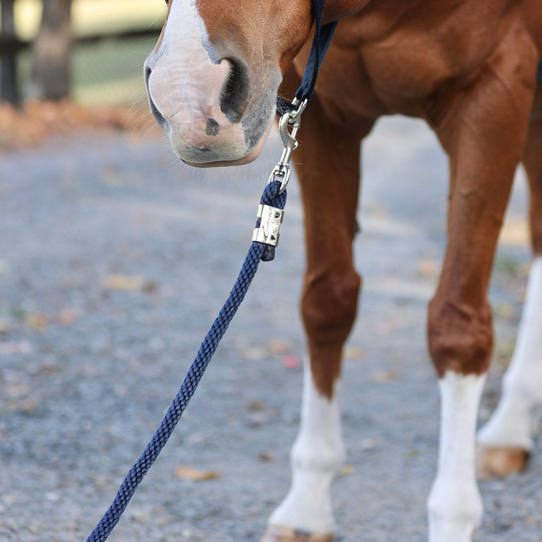 Aurora Elegance Lead rope