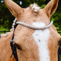 67BC085A-39AD-4C18-B844-346F83BD363B