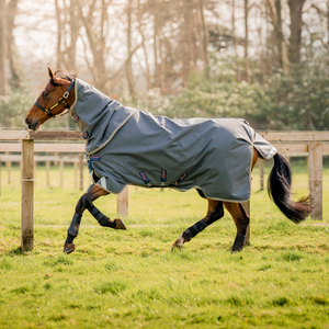 Amigo Bravo 12 Plus Turnout Lite