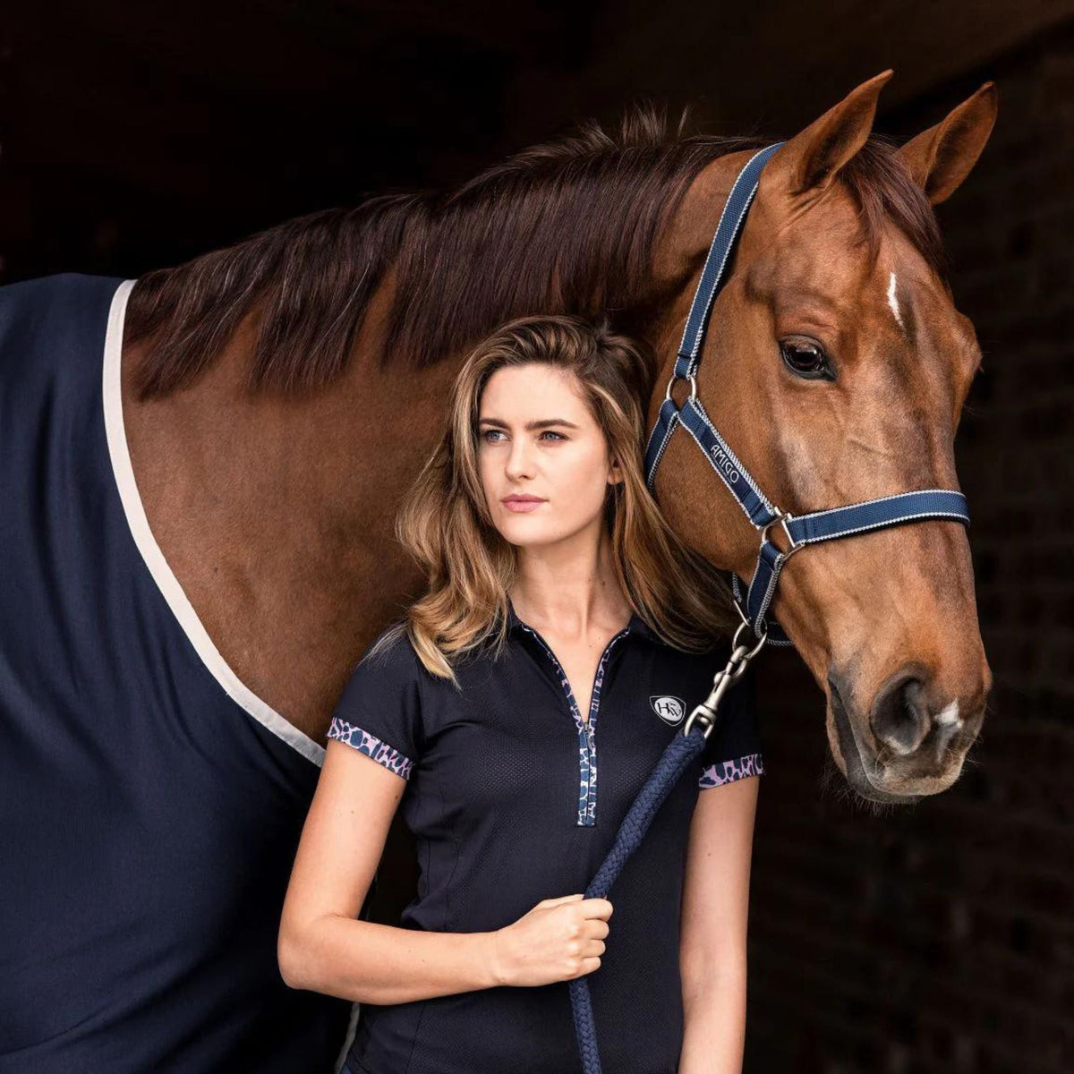 Navy halter with light navy edge stripes on a liver chestnut.