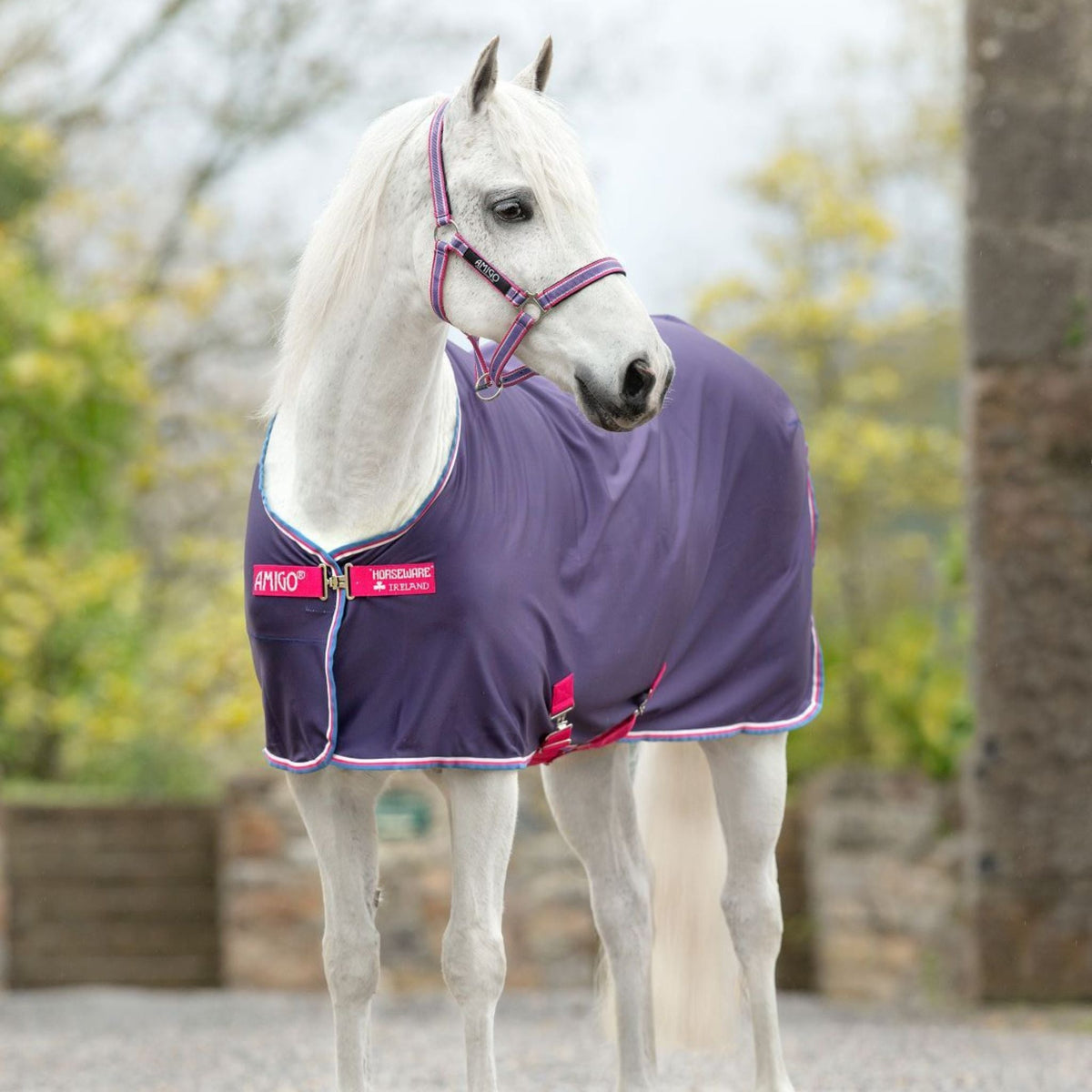 Purple Halter with pink outer stripes