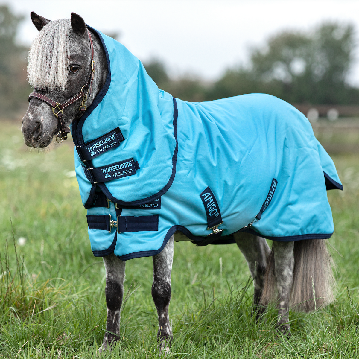 Amigo Petite Plus Lite