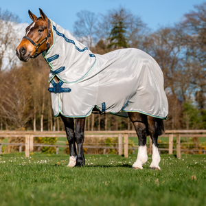 Amigo XL Bug Rug Discfront