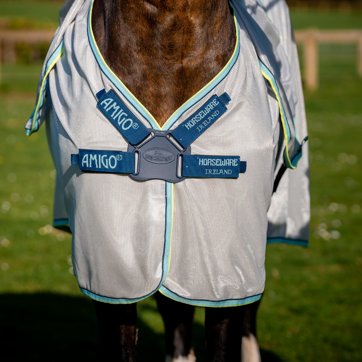 Amigo XL Bug Rug Discfront