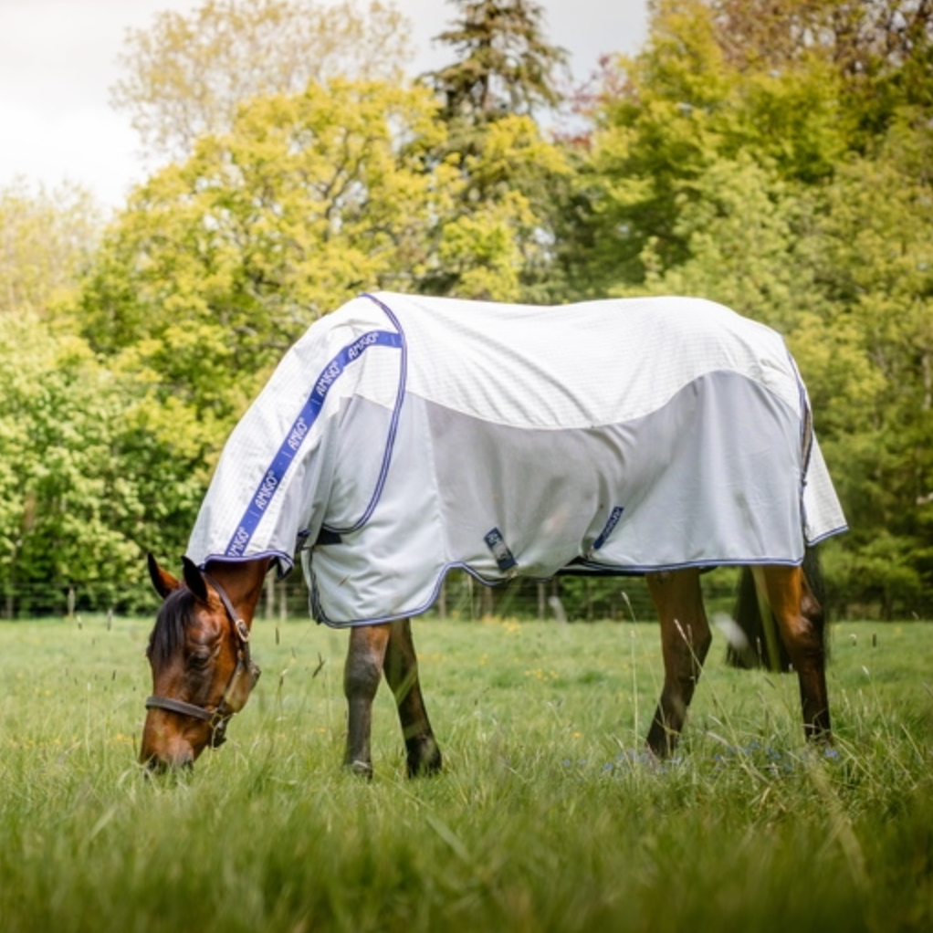horse in hybrid cotton and mesh rug
