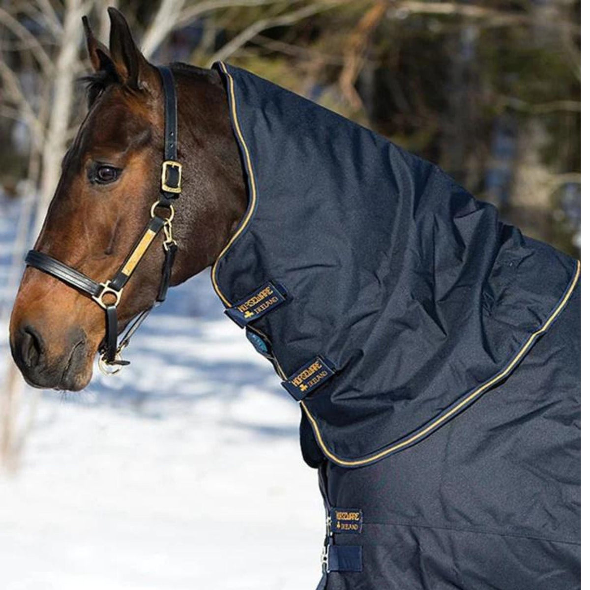Navy neck with gold pinstripe binding