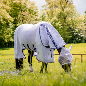 Amigo Bug Buster - Lavender