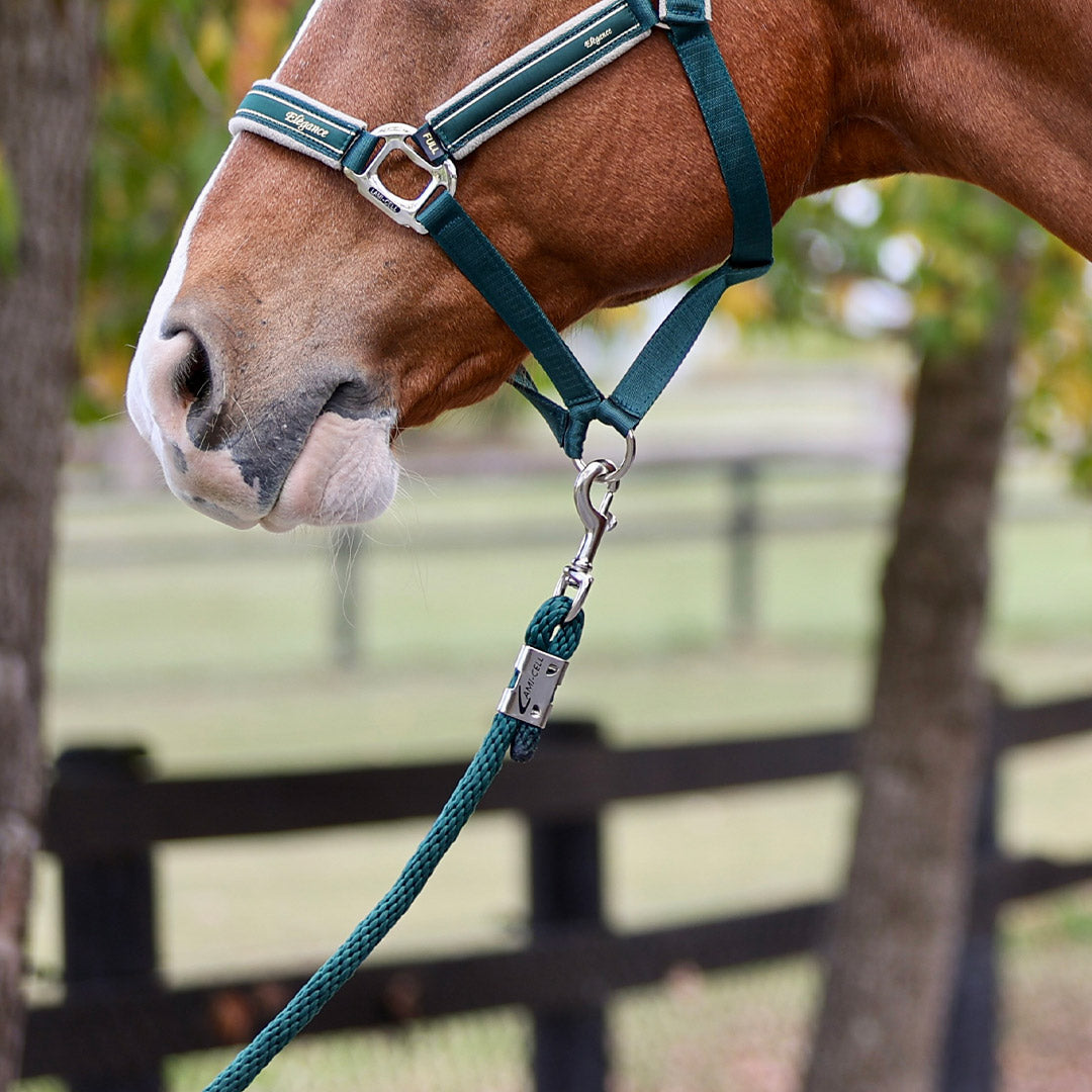 Aurora Elegance Lead rope
