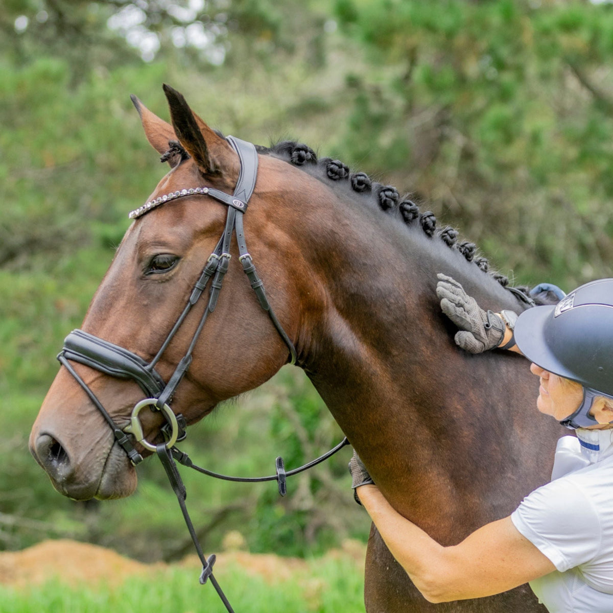 This sunning browband on a deep bay horse