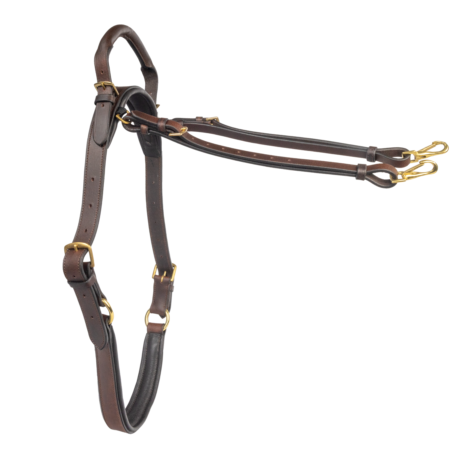 Brown leather neck strap with gold hardware on a white background