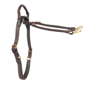 Double Neck Strap