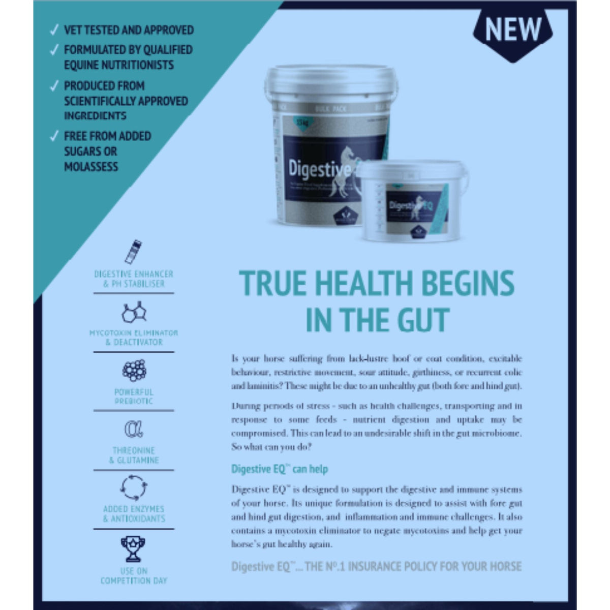 Blue, aqua and white poster about Digestive EQ with images.