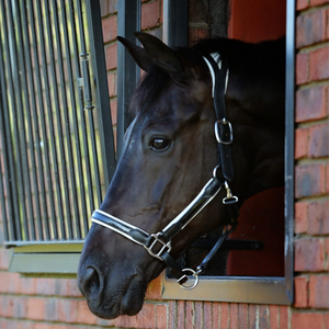 Duchess Leather Halter