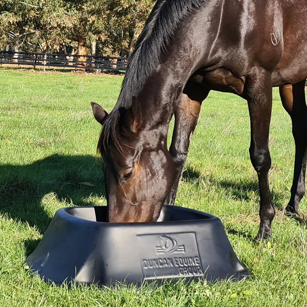 Duncan-Equine-Nop-Tip-Feeder2-the-Horse-Rug-Whisperer_jpg