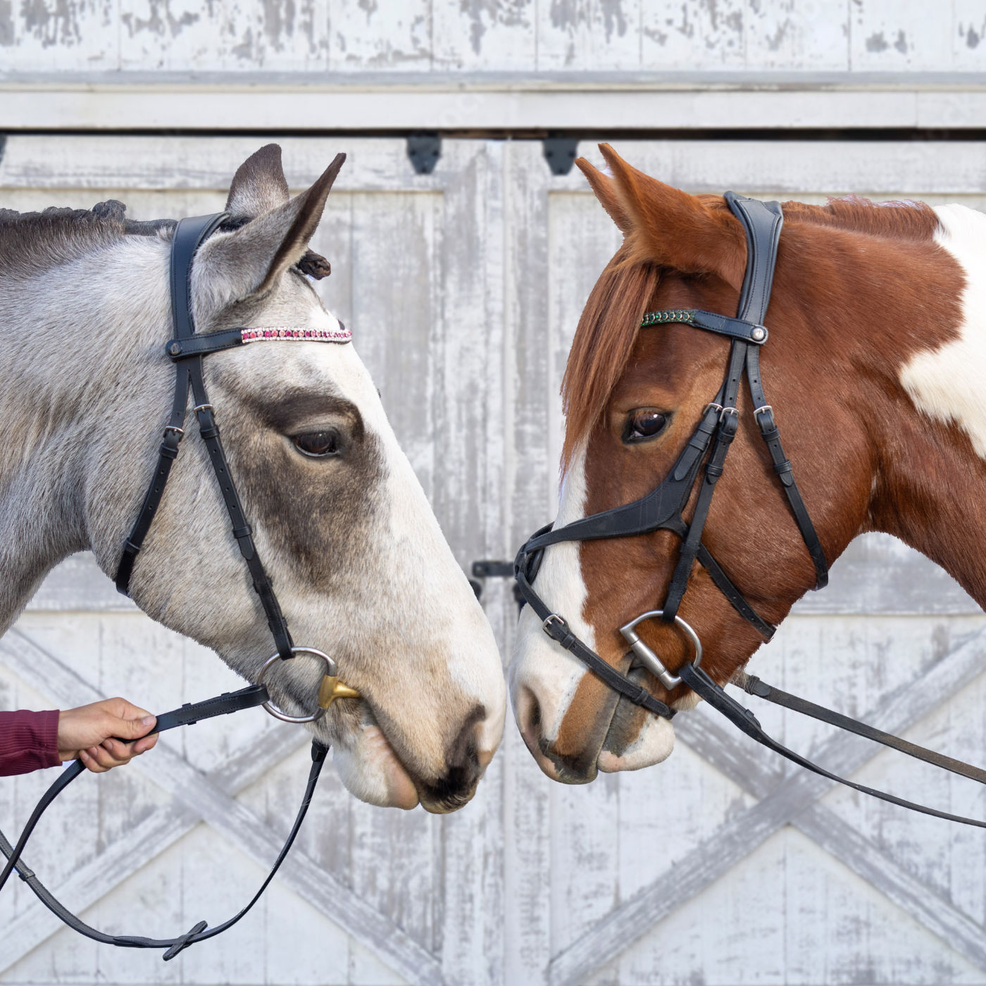 Harley-Sparrow-Bridle-1-Sq-Web