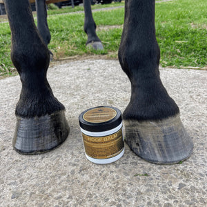 Hoof balm
