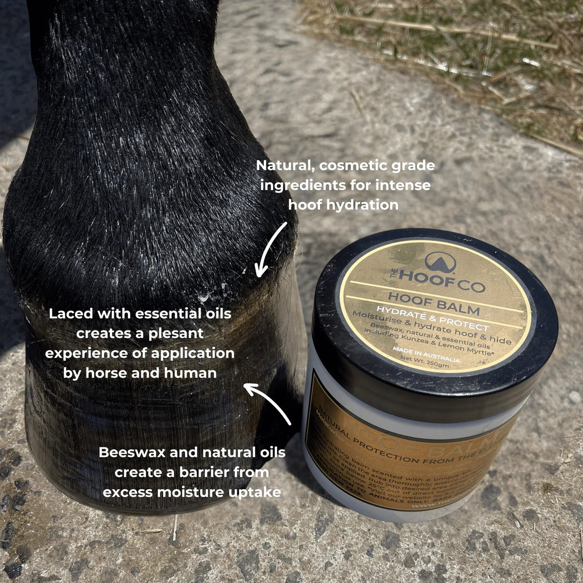 Hoof balm