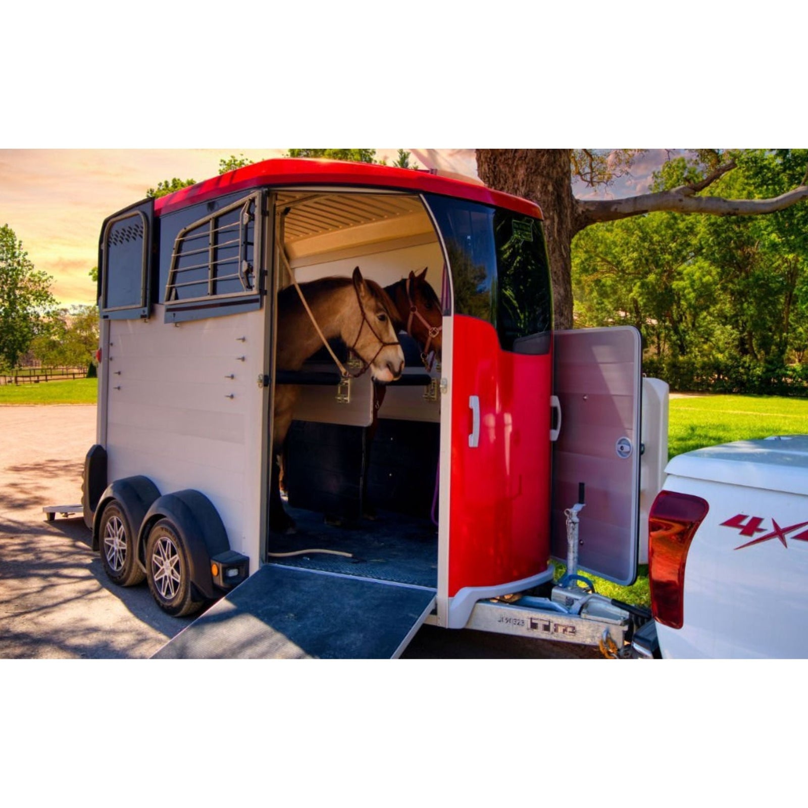 Horse-float-hire-the-horse-rug-whisperer_2048x_18599b55-5c20-4894-83b2-784ee8ecb1e2