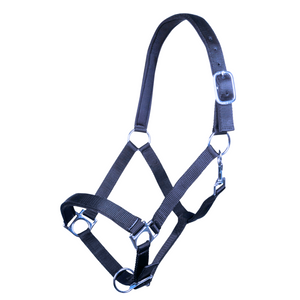 Warmblood Padded Halter