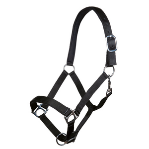 Warmblood Padded Halter