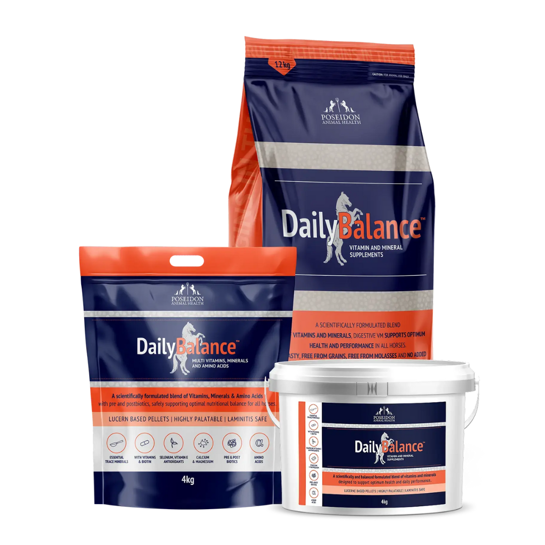 Daily Balance (Digestive VM)