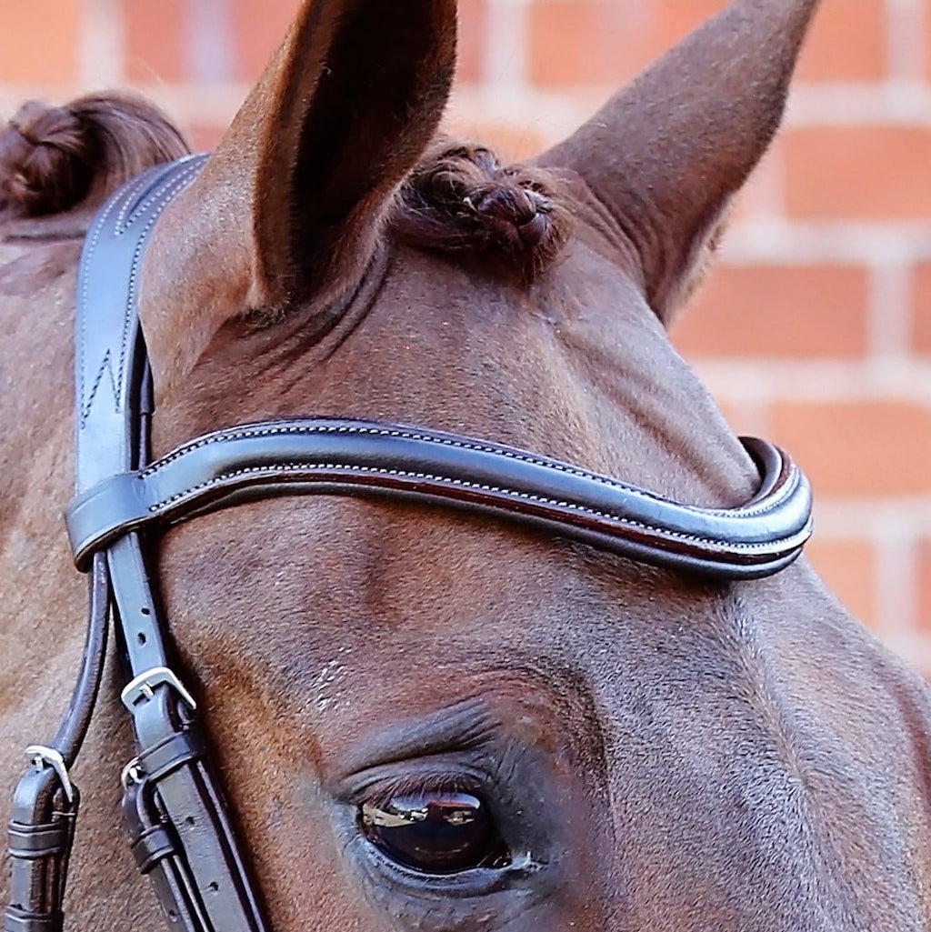 Prince Bridle