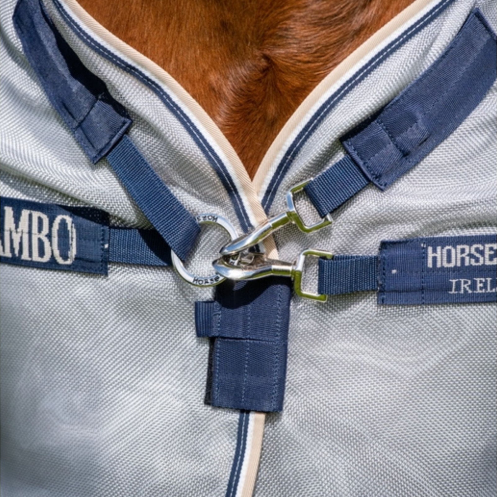 Horse wearing rambo protector rug.