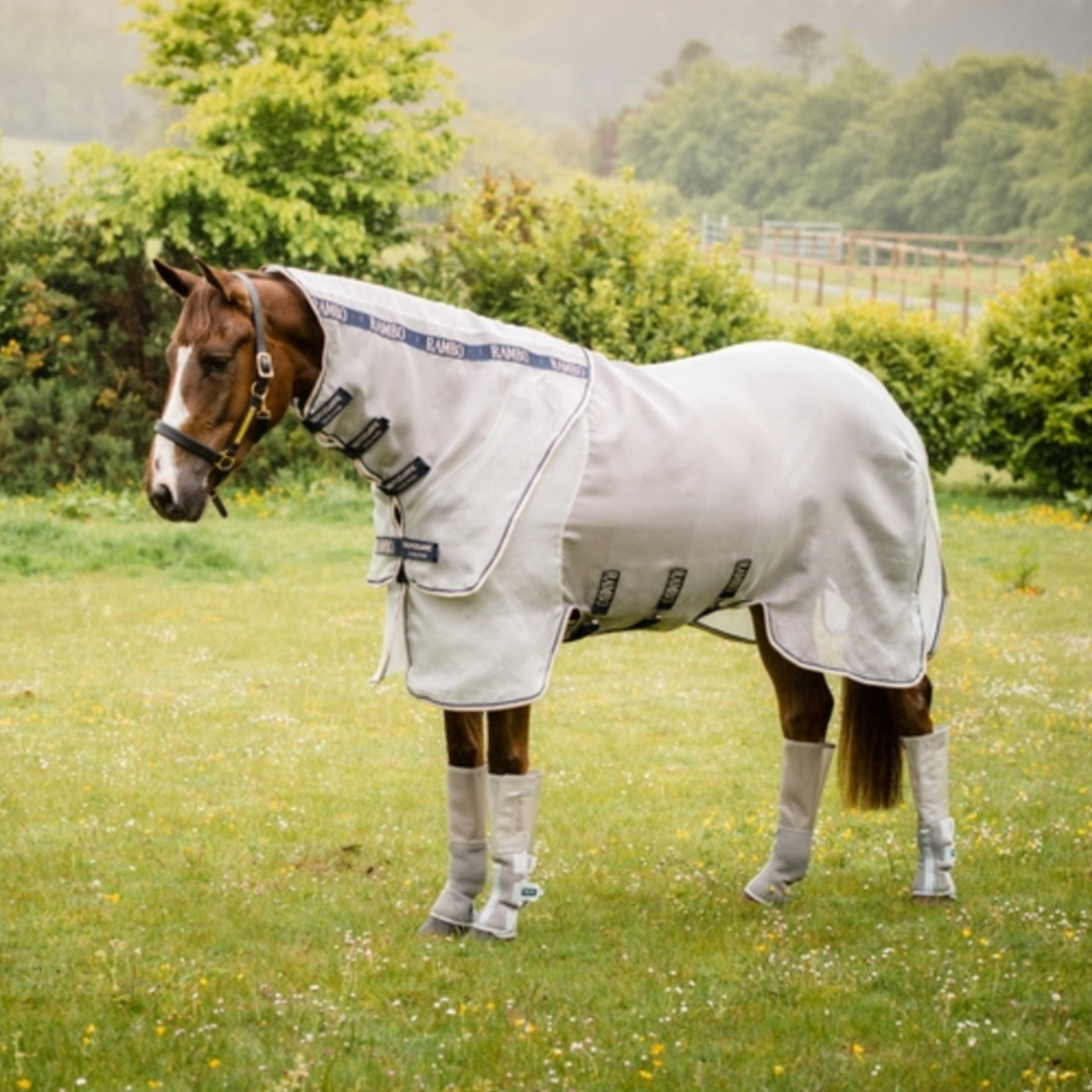 Horse Fly boots made of grey mesh