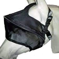 Equivizor Solar Veil