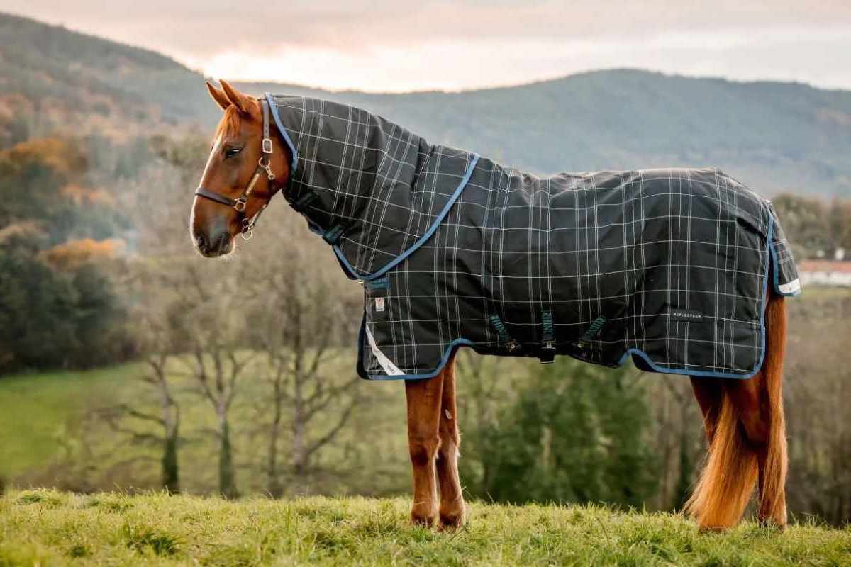 The_Horse_Rug_Whisperer_Shop_2_Slider_1800_px_800_px_9_0d826f5b-16f3-45e3-95e3-2ab0b636b79f