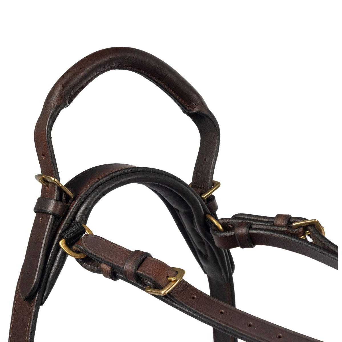 Close-up of a Brown leather handle with gold hardware on a white background