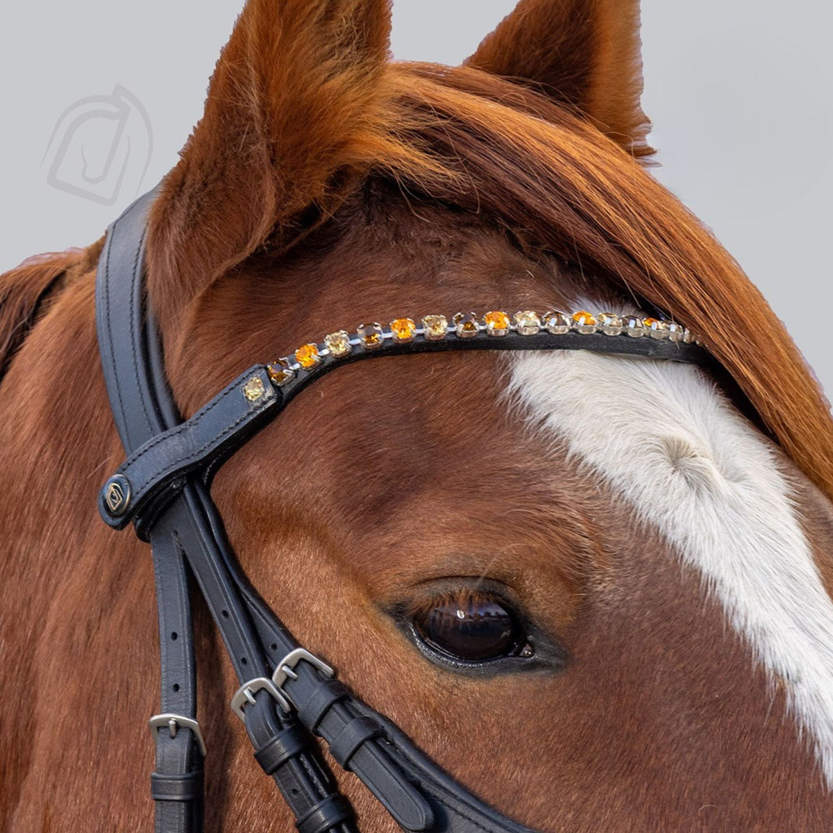 Autumn browband