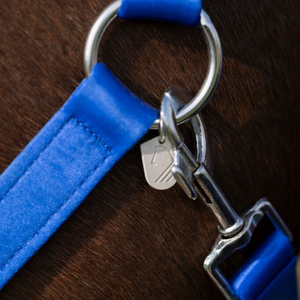 Amalfi Padded Webbing Halter