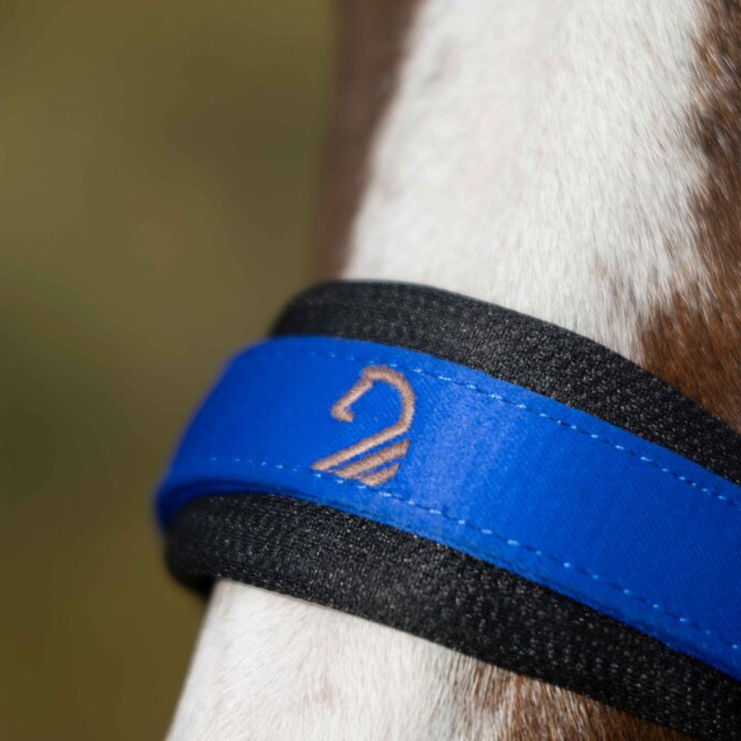 Amalfi Padded Webbing Halter