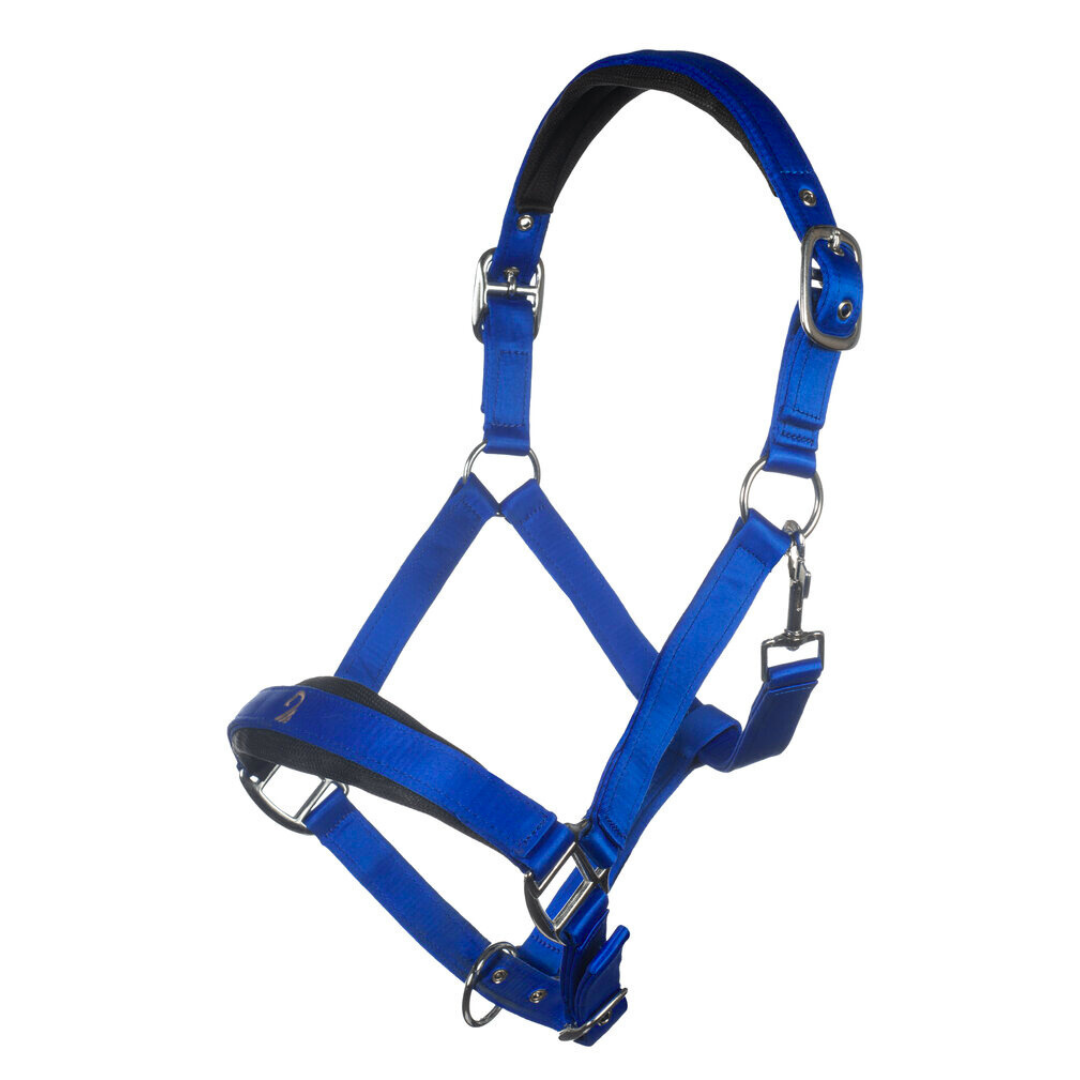Amalfi Padded Webbing Halter