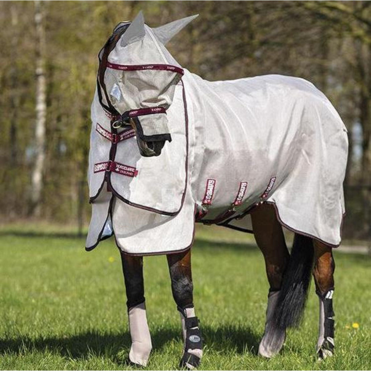 Rambo Flybuster Vamoose NFZ