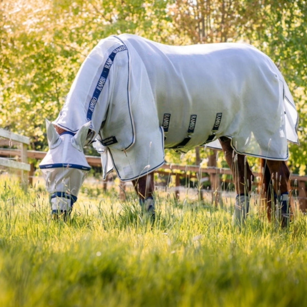 Horse grazing while wearing rambo protector.