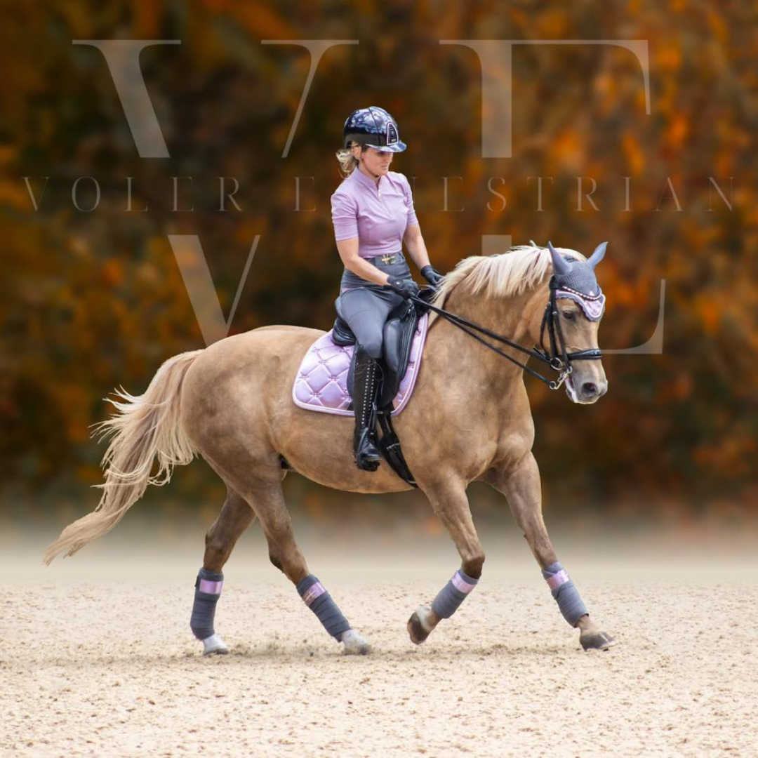 palamino horse with grey and purple bonnet